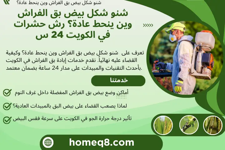 شنو شكل بيض بق الفراش وين ينحط عادة؟