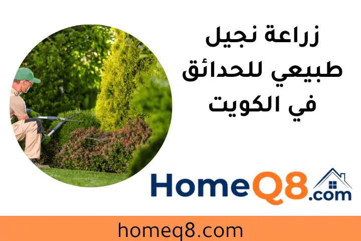 فني زراعة نجيل طبيعي للحدائق