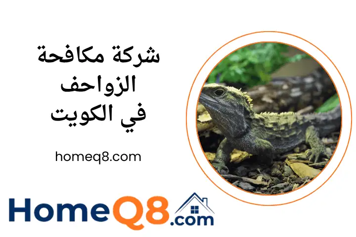 افضل شركة مكافحة الزواحف