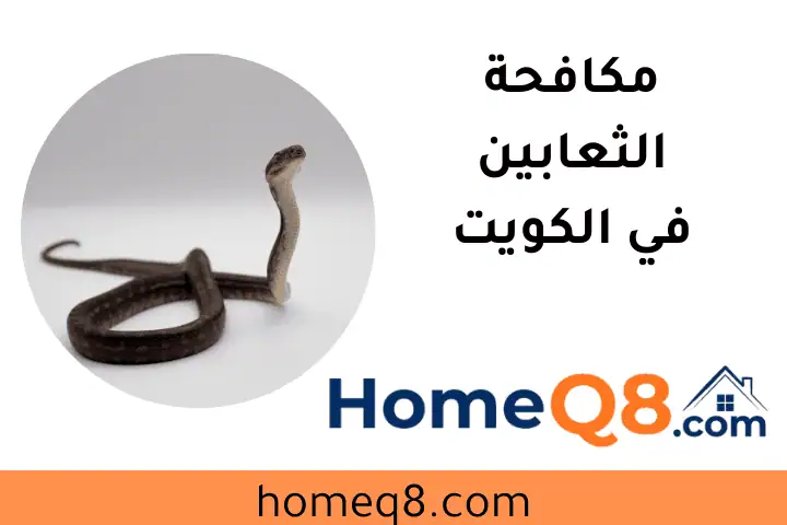 شركة مكافحة الثعابين الكويت