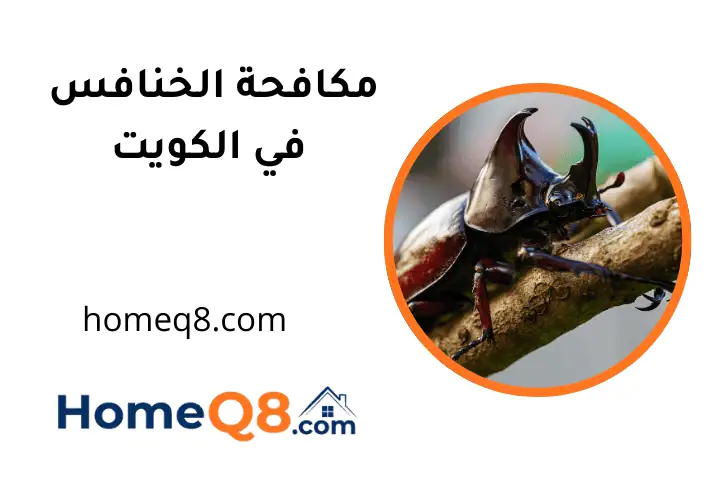 فني مكافحة الخنافس الكويت