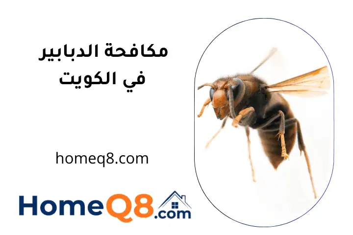 شركة مكافحة الدبابير الكويت