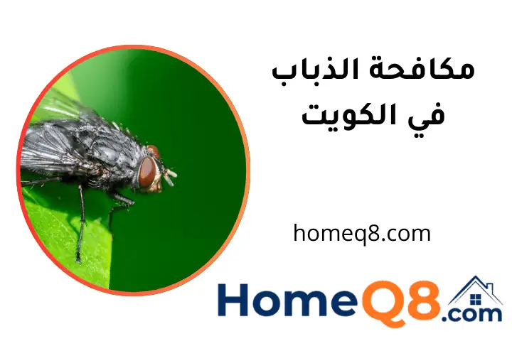 شركة مكافحة الذباب