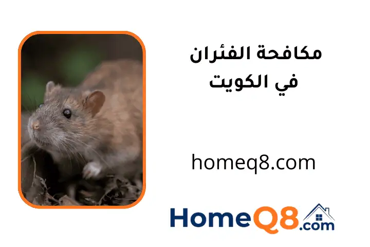 شركة مكافحة الفئران
