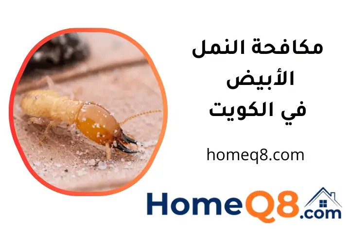 ورشة مكافحة النمل الأبيض