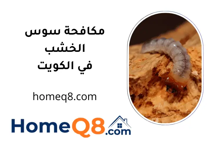 شركة مكافحة سوس الخشب