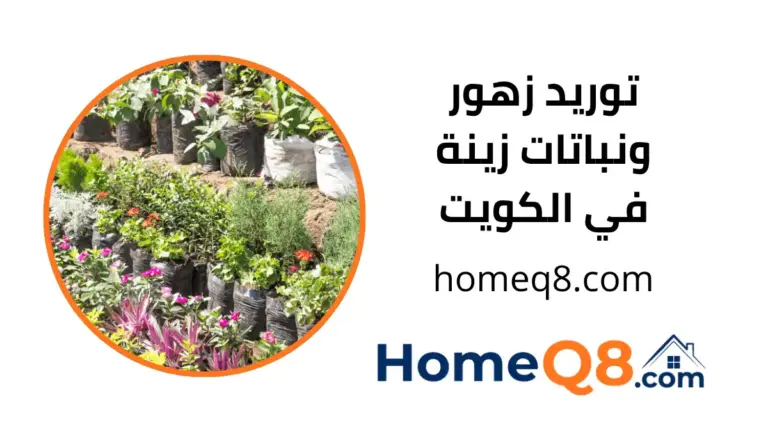 محل توريد زهور ونباتات زينة