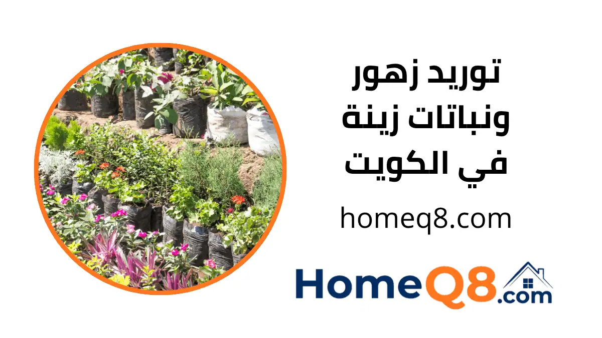 محل توريد زهور ونباتات زينة