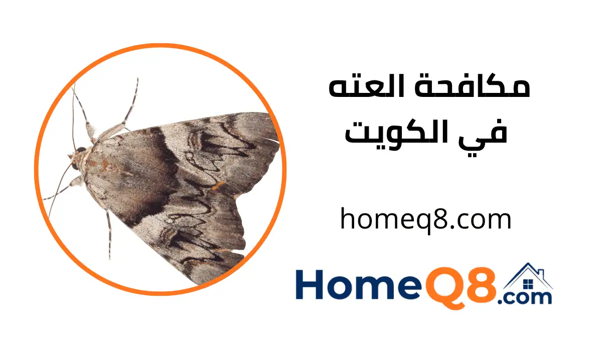 فني مكافحة العته الكويت
